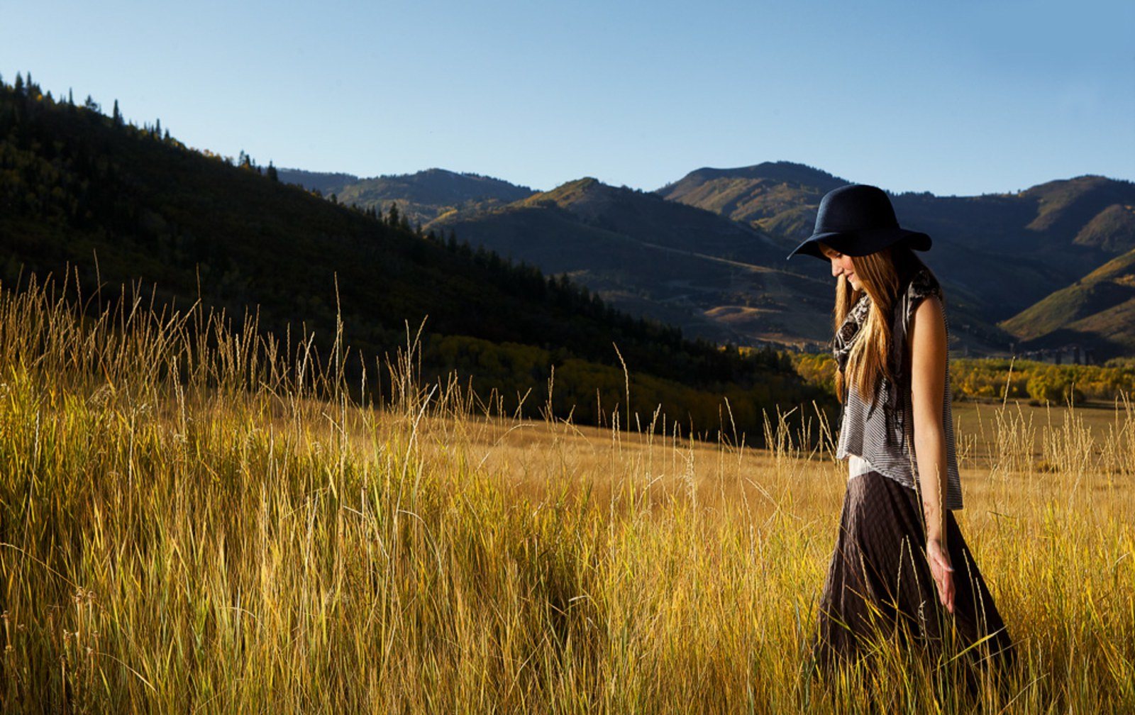 Cozy Method Park City spa guide: a quiet wildflower meadow afternoon above Deer Valley, Park City, Utah